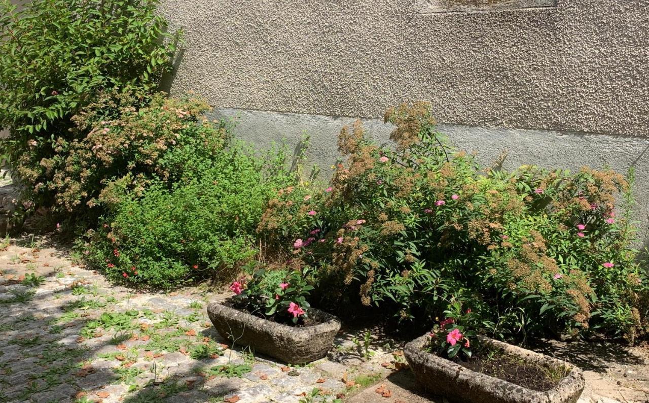 La Cour Pavee, T2 Lumineux, Cosy, Confort 55 M2 Saint-Léonard-de-Noblat Exteriér fotografie